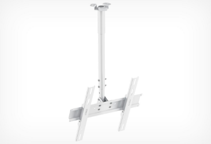 Изображение Кронштейн HOLDER PR-101 для 32 " - 65 " (белый)