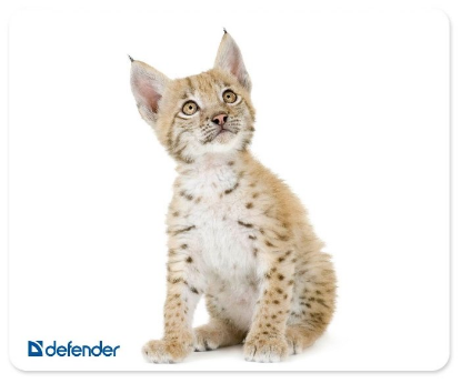Изображение Коврик Defender Silk (50706) в ассортименте (резина/ткань )