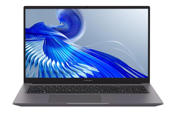 Изображение Ноутбук Maibenben P17A (AMD 8845HS 3800 МГц/ SSD 1024 ГБ  /RAM 16 ГБ/ 17.3" 1920x1080/VGA встроенная/ Linux) (P17A-R788UMG1SLGRE0)